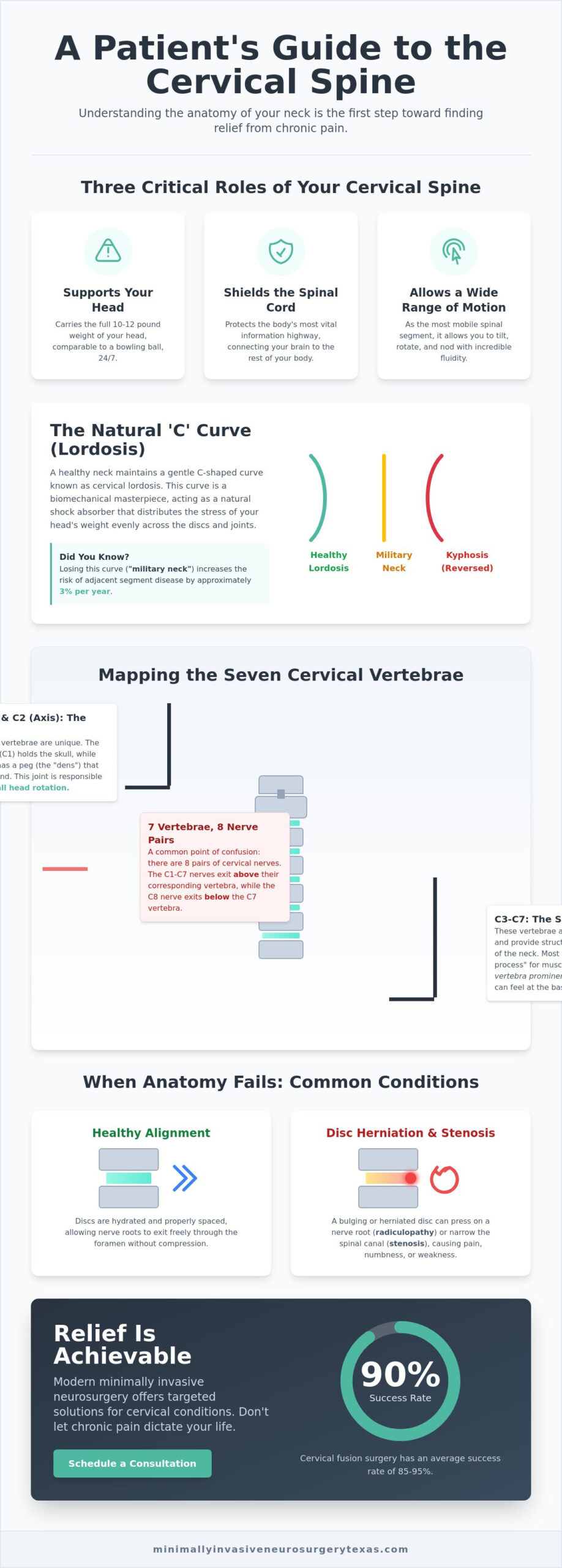 Cervical Spine Anatomy: A Patient’s Guide to the Neck and Spine