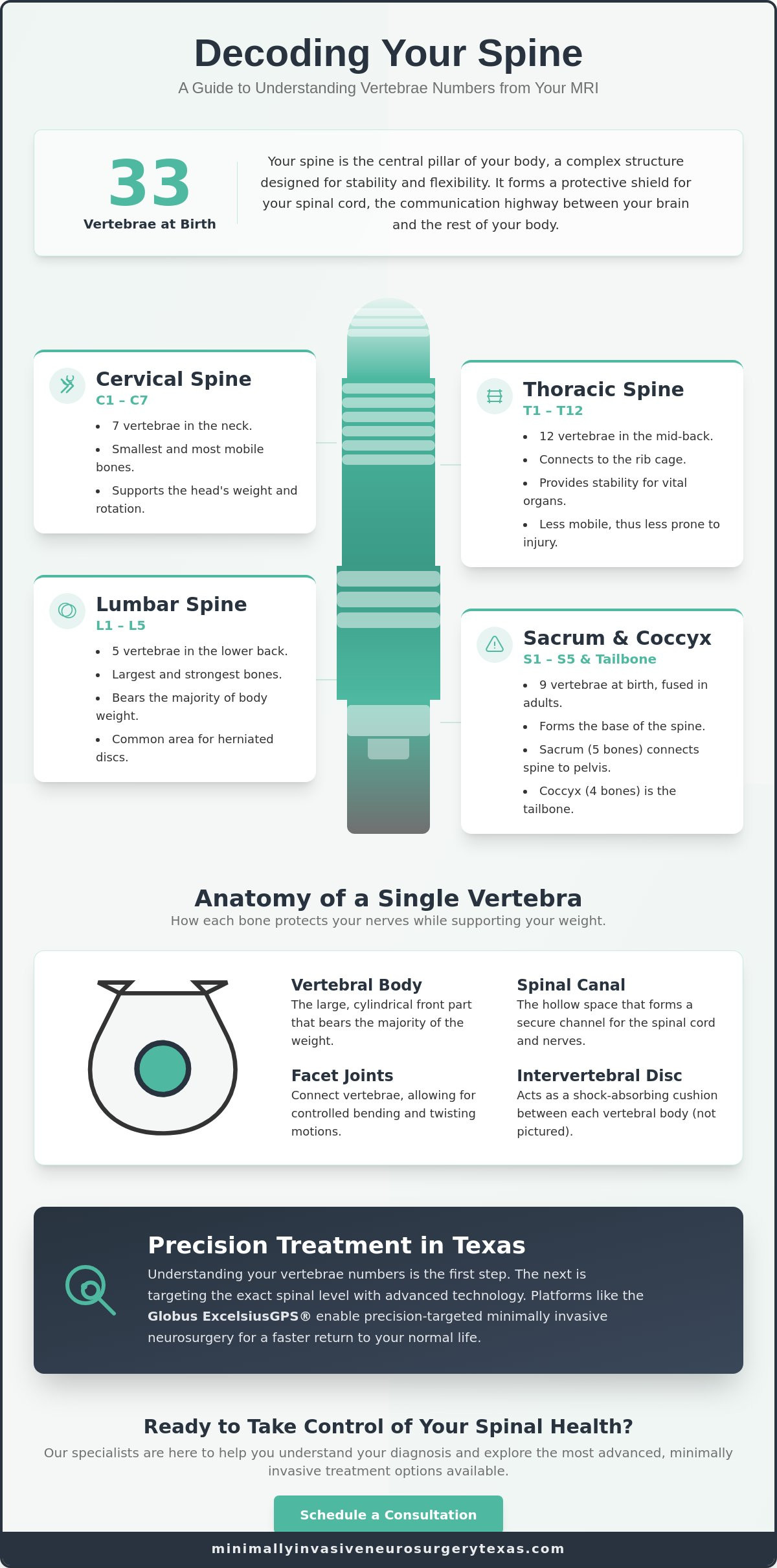 Understanding Vertebrae Numbers: A Patient’s Guide to Spinal Anatomy in 2026